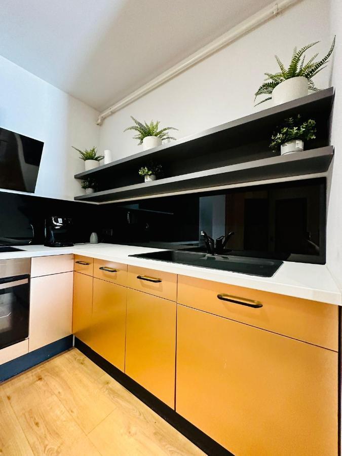 Kharisma Apartment-Free Parking-Ultracentral Cluj-Napoca Buitenkant foto